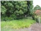 3 Quail Place, Macleay Island QLD 4184