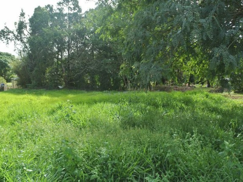 19 Curlew Street, Macleay Island QLD 4184