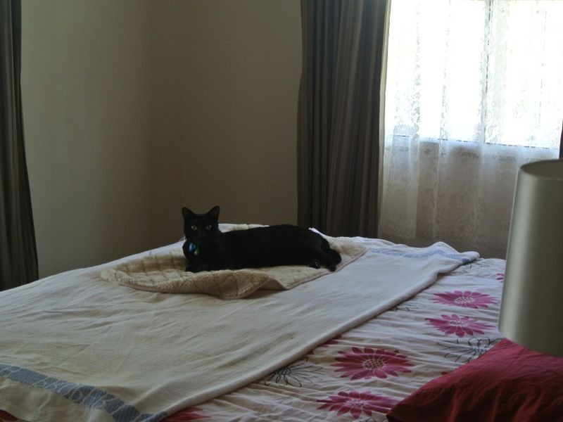 Macleay Island QLD 4184