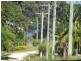 10 Pine Avenue, Lamb Island QLD 4184