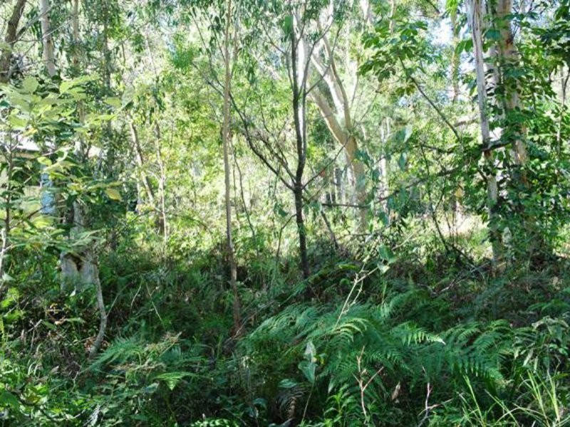 12 Brolga Street, Macleay Island QLD 4184