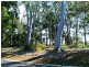 17 High Central Road, Macleay Island QLD 4184