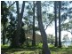 17 High Central Road, Macleay Island QLD 4184
