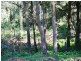 77 Coondooroopa Drive, Macleay Island QLD 4184