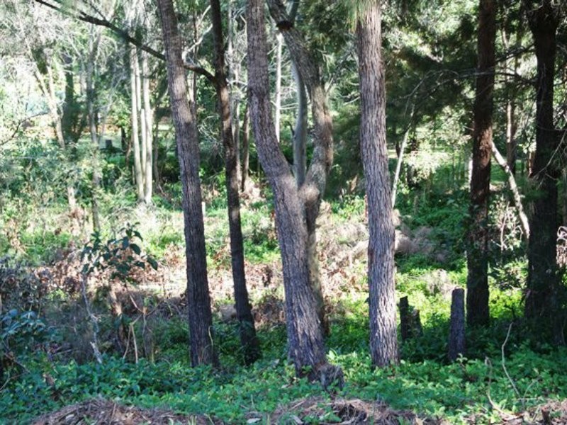 77 Coondooroopa Drive, Macleay Island QLD 4184