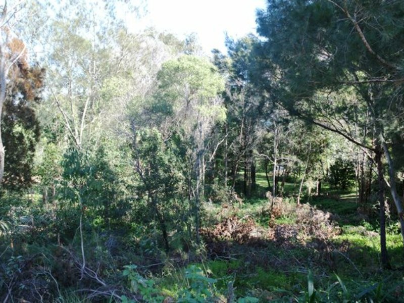 77 Coondooroopa Drive, Macleay Island QLD 4184