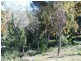 77 Coondooroopa Drive, Macleay Island QLD 4184