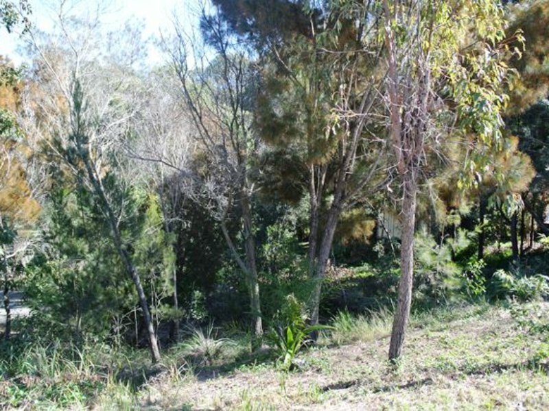 77 Coondooroopa Drive, Macleay Island QLD 4184