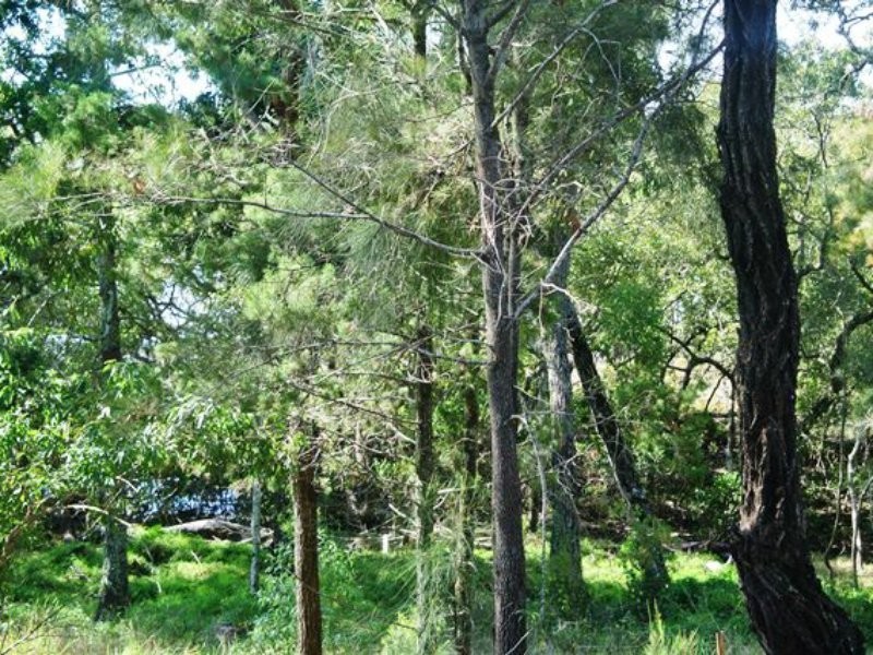 21 Beelong Street, Macleay Island QLD 4184