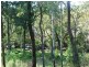 21 Beelong Street, Macleay Island QLD 4184