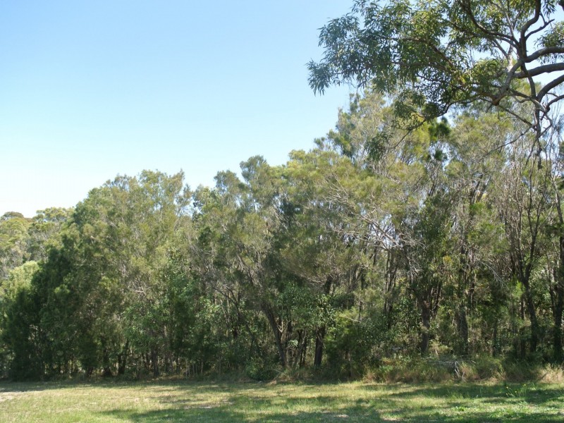 43 Scarborough Terrace, Macleay Island QLD 4184