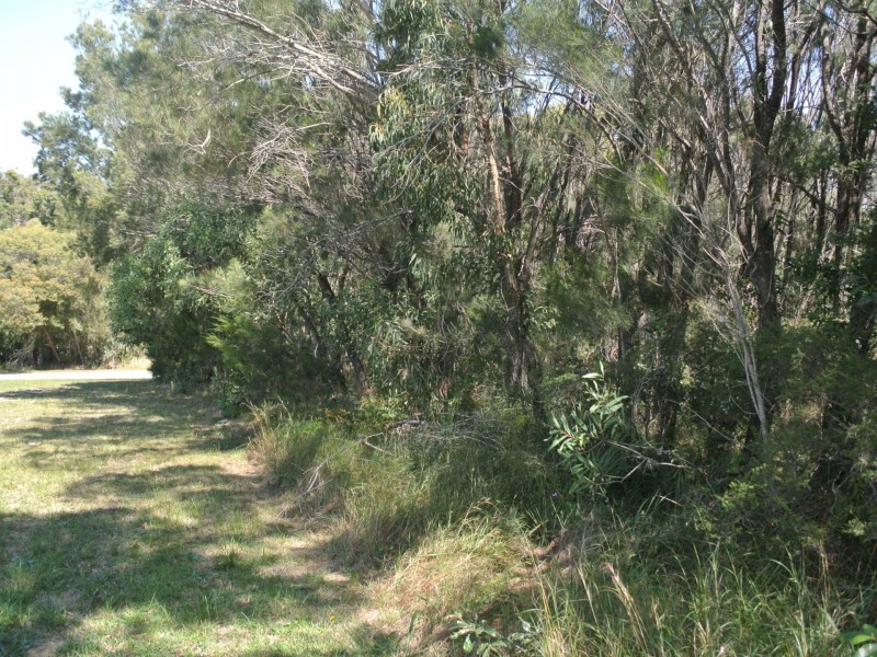 43 Scarborough Terrace, Macleay Island QLD 4184