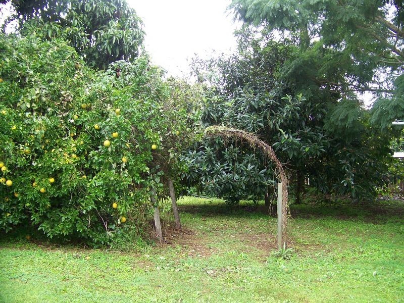 17 Squire Street, Macleay Island QLD 4184