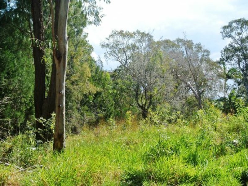 35 Piccaninny Street, Macleay Island QLD 4184