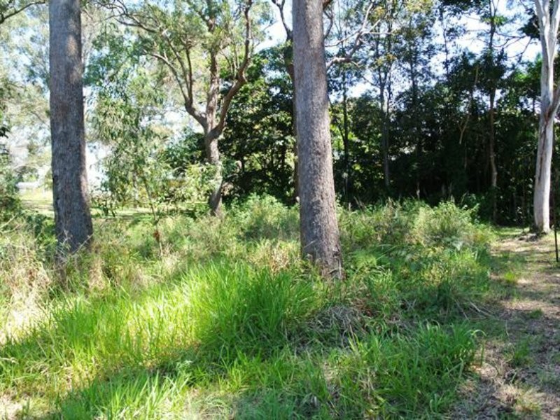 12 Beelong Street, Macleay Island QLD 4184