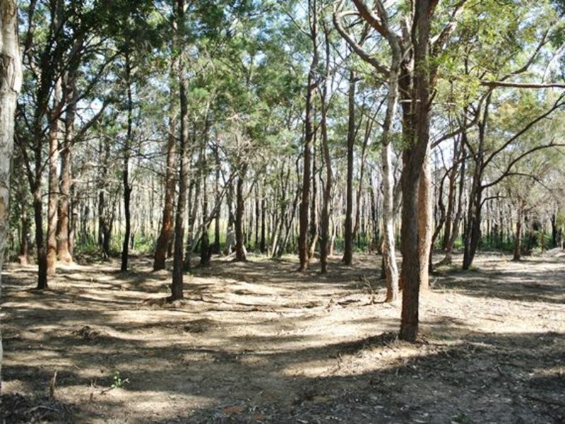 10 Derwent Street, Macleay Island QLD 4184