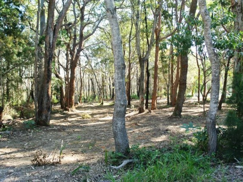 10 Derwent Street, Macleay Island QLD 4184