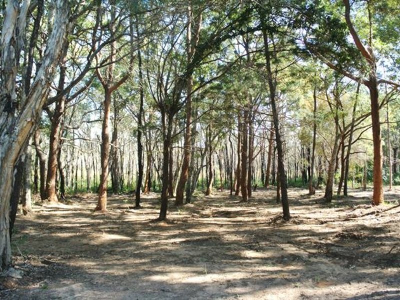 10 Derwent Street, Macleay Island QLD 4184