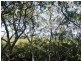 11 Beelong Street, Macleay Island QLD 4184