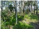 11 Beelong Street, Macleay Island QLD 4184