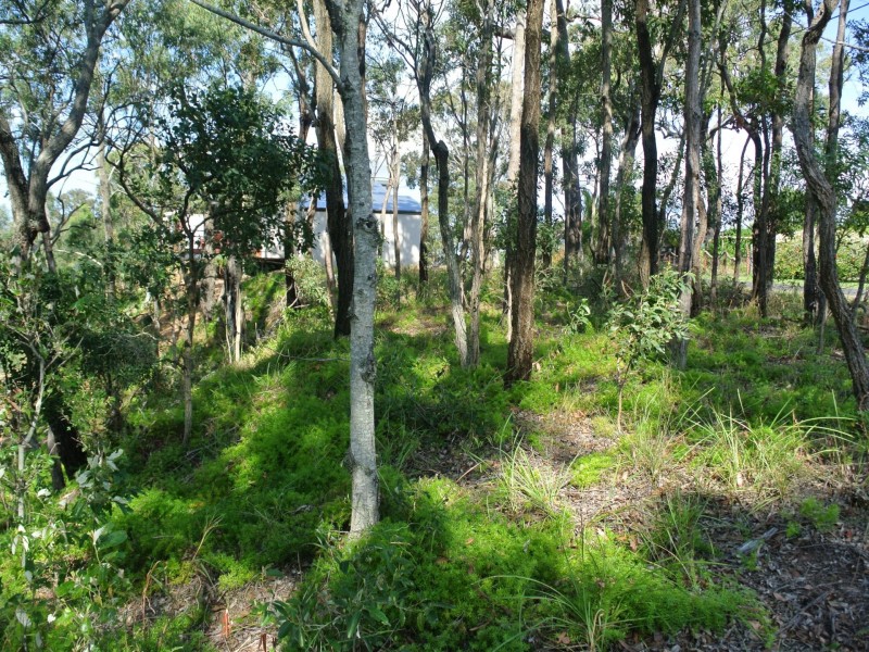 11 Beelong Street, Macleay Island QLD 4184