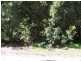 7 Orana, Macleay Island QLD 4184