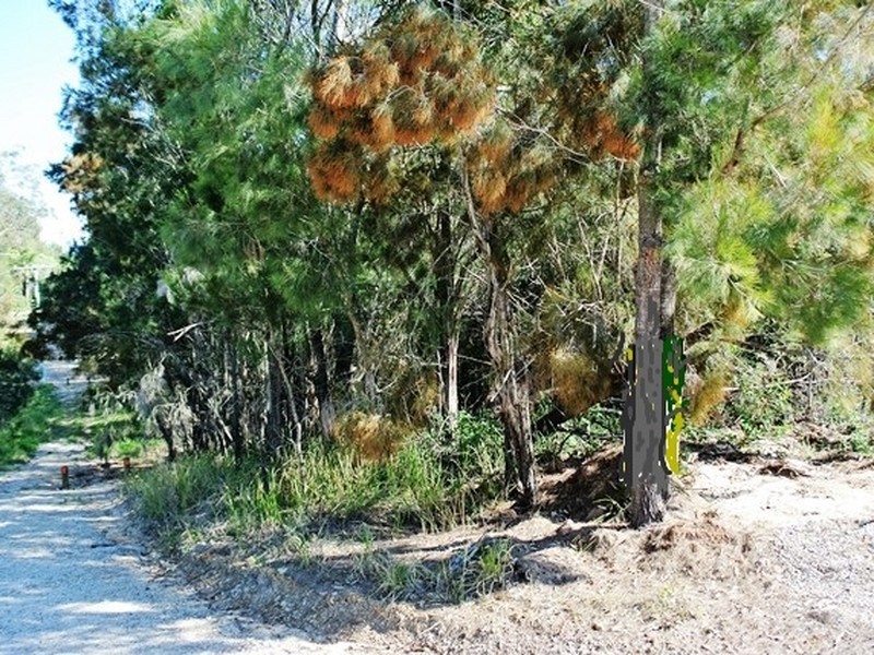 27 Ashton Street, Macleay Island QLD 4184