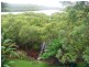 4 Cotton Tree Ave, Macleay Island QLD 4184
