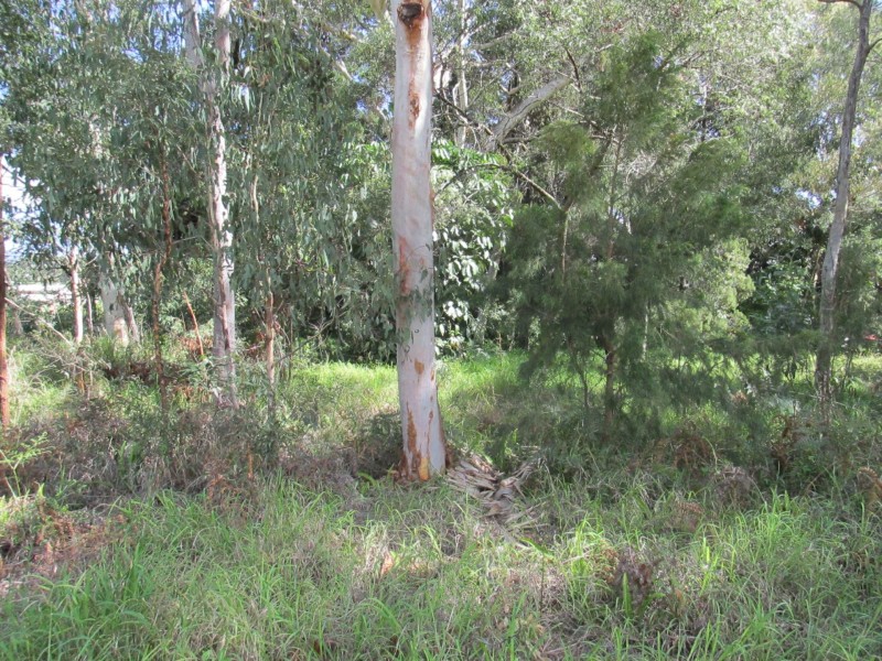 10 Orion Street, Macleay Island QLD 4184