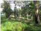 74 Beelong Street, Macleay Island QLD 4184