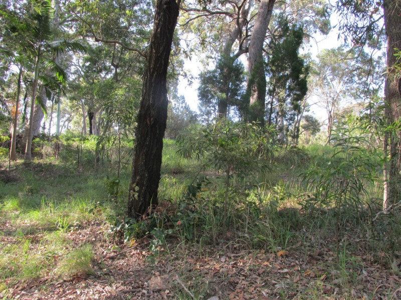 74 Beelong Street, Macleay Island QLD 4184
