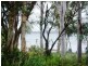 54 Coast Road, Macleay Island QLD 4184