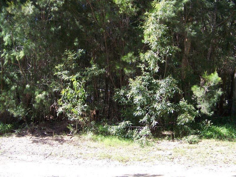 7 Orana, Macleay Island QLD 4184