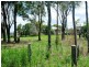7 Cressy Street, Macleay Island QLD 4184