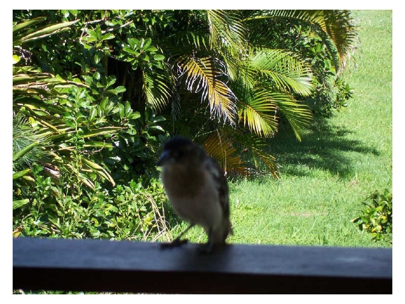 32 Mawarra, Macleay Island QLD 4184