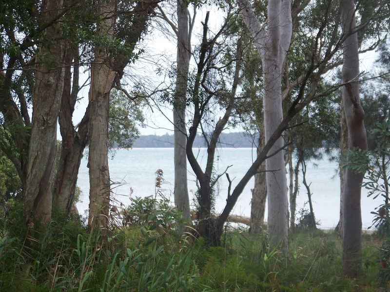 54 Coast Road, Macleay Island QLD 4184