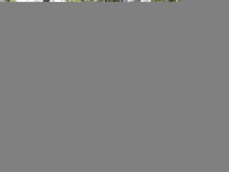 7 – 9 Cotton Tree Avenue, Macleay Island QLD 4184