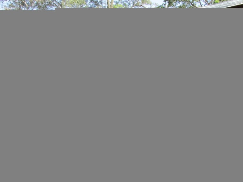7 – 9 Cotton Tree Avenue, Macleay Island QLD 4184