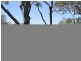 7 – 9 Cotton Tree Avenue, Macleay Island QLD 4184