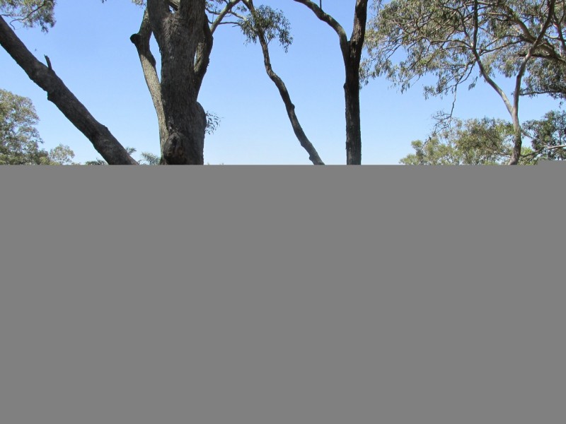 7 – 9 Cotton Tree Avenue, Macleay Island QLD 4184