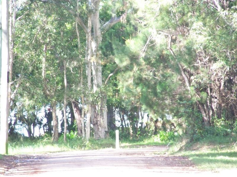 19 Pecan, Macleay Island QLD 4184