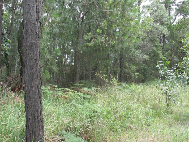 25 Nugent Street, Macleay Island QLD 4184