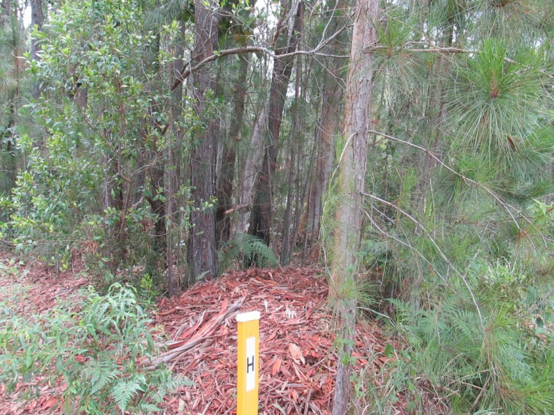 25 Nugent Street, Macleay Island QLD 4184