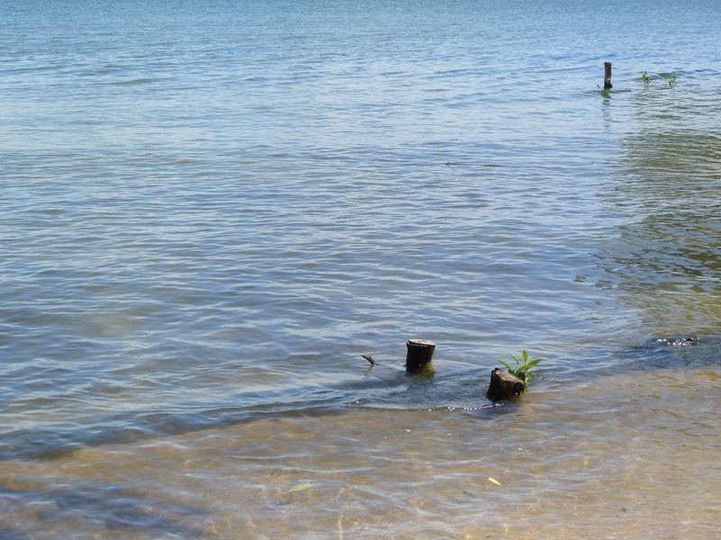 45 Attunga Street, Macleay Island QLD 4184