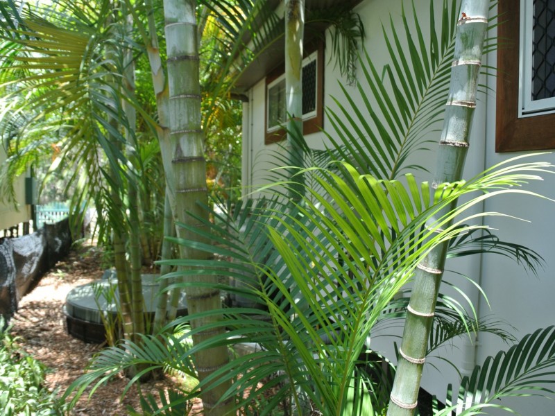 56 Alexander Street, Macleay Island QLD 4184