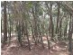 18 Ashton Street, Macleay Island QLD 4184