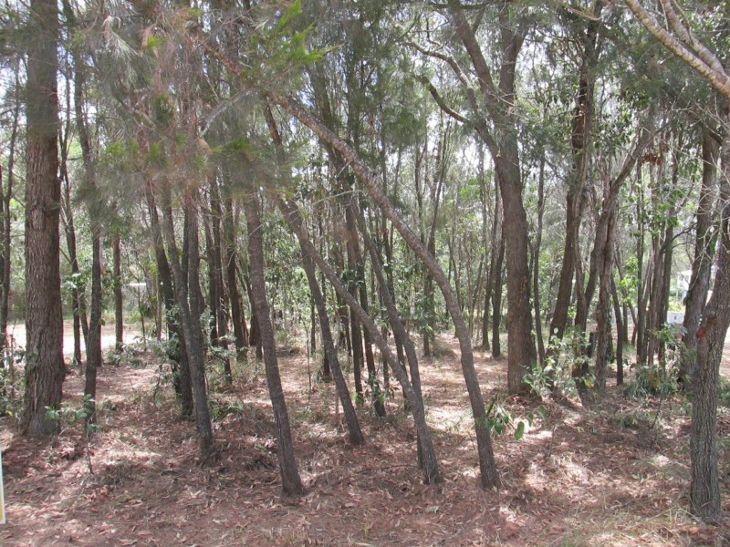 18 Ashton Street, Macleay Island QLD 4184