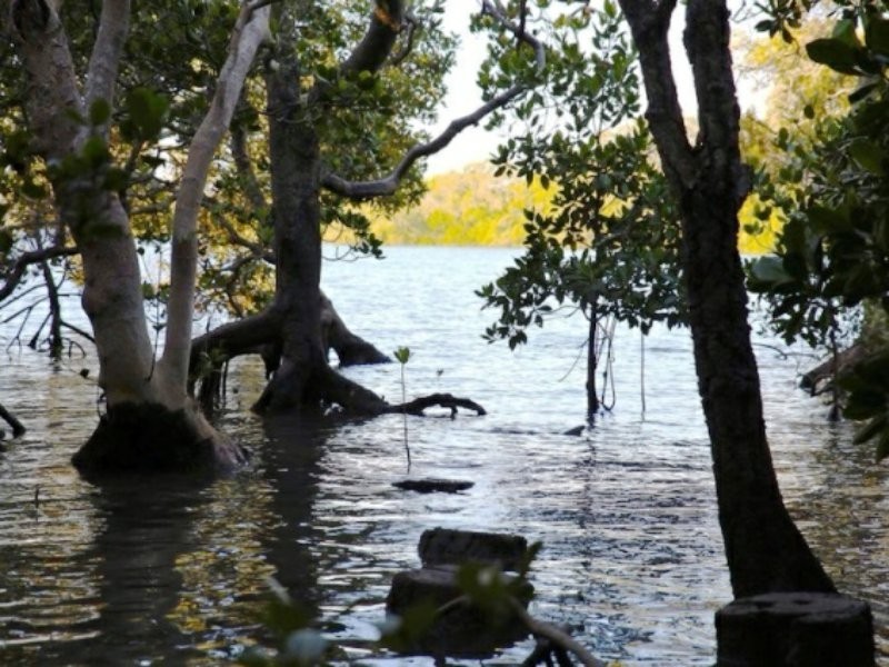 2 Keith St, Macleay Island QLD 4184