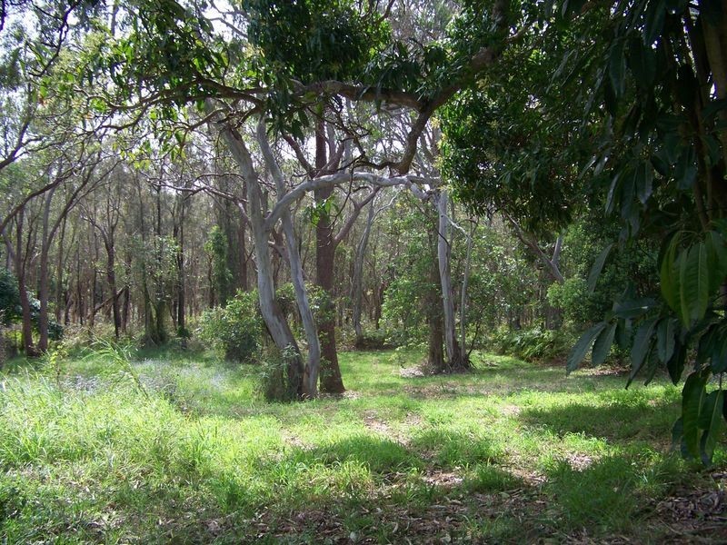 81 Western Road, Macleay Island QLD 4184