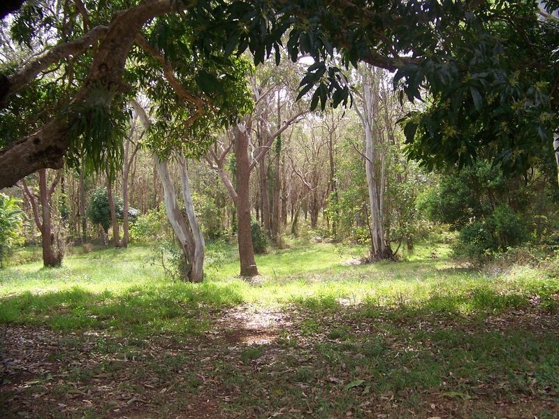 81 Western Road, Macleay Island QLD 4184